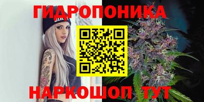 трава Будённовск