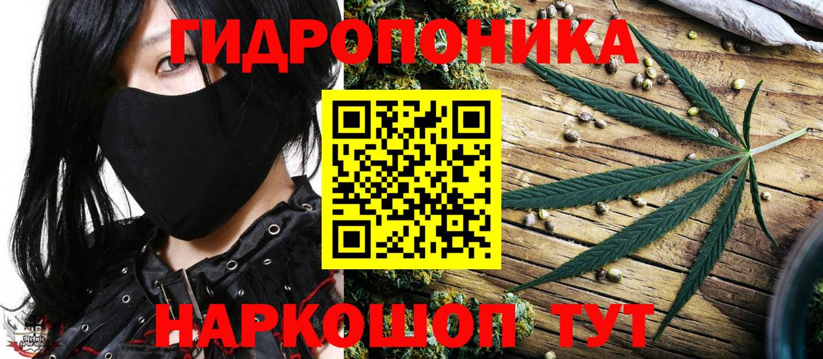 Канабис THC 21%  Конопля AK-47  Бошки Шишки VHQ  Вход с VPN  Кудрово 